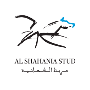 Organisation logo 21